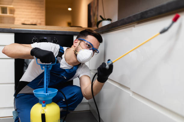 Best Ant Control Services  in Oatfield, OR