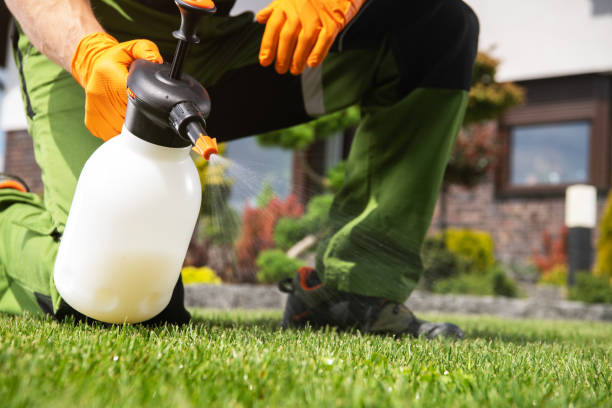 Best Wasp Removal Services  in Oatfield, OR