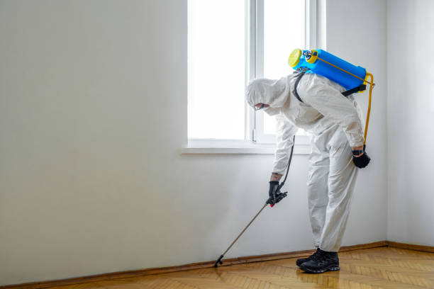 Trusted Oatfield, OR Pest Control Experts